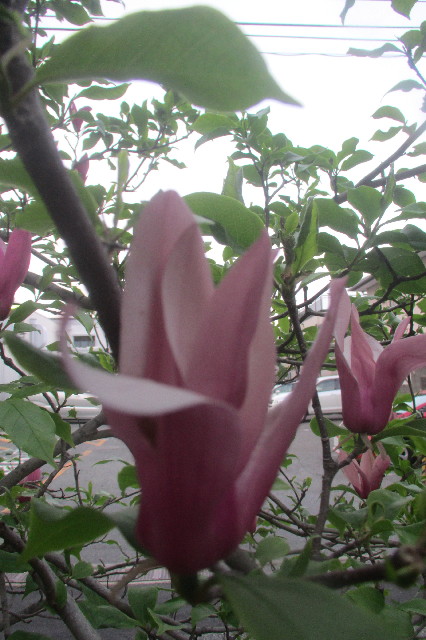 ファイル 3587-4.jpg