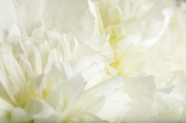 ファイル 3588-1.jpg