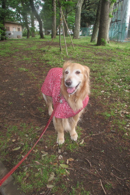 ファイル 3589-1.jpg