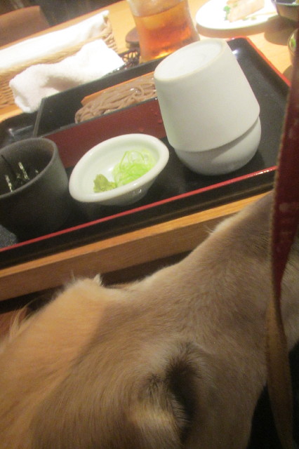 ファイル 3589-5.jpg