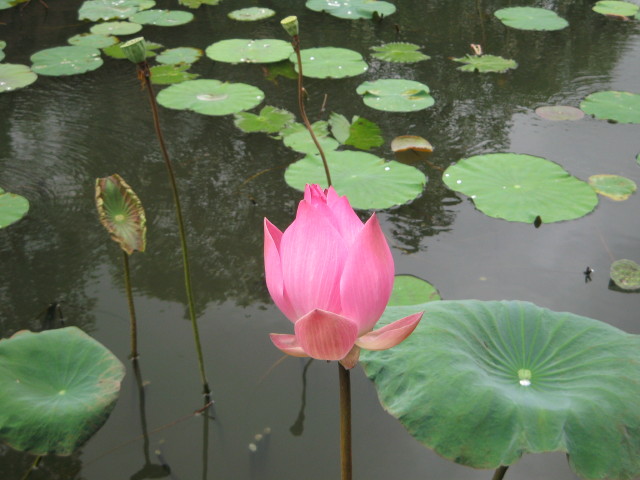 ファイル 359-1.jpg