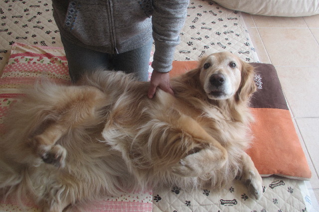 ファイル 3590-5.jpg