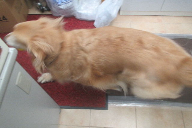 ファイル 3591-1.jpg