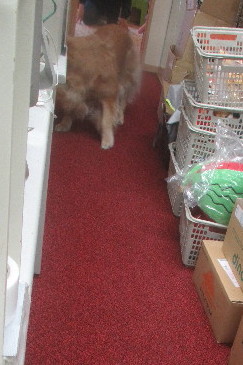 ファイル 3591-2.jpg