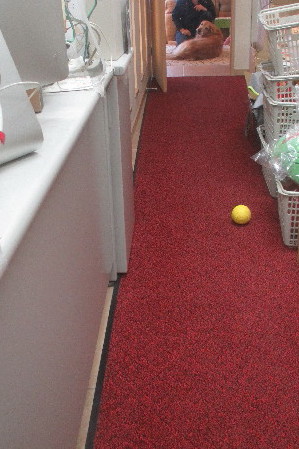 ファイル 3591-3.jpg