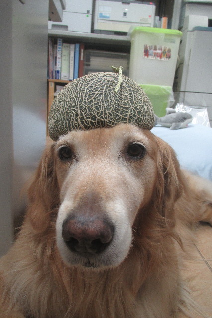 ファイル 3591-5.jpg