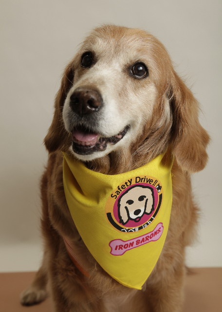 ファイル 3592-1.jpg