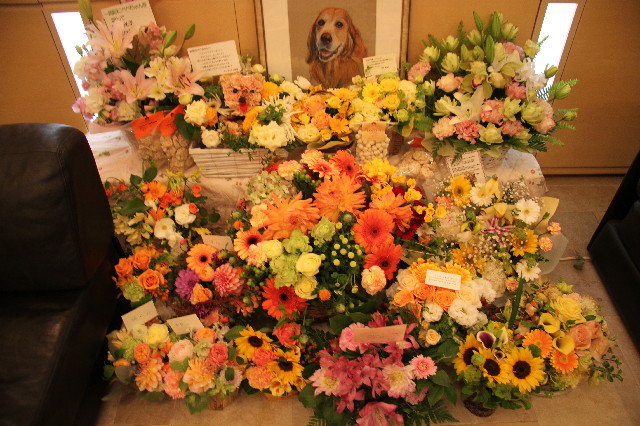 ファイル 3593-4.jpg