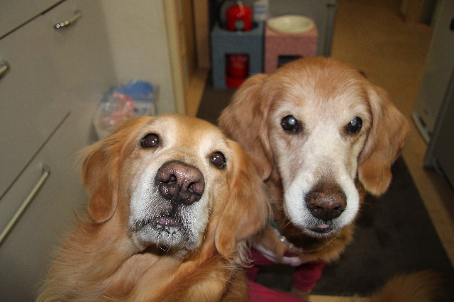 ファイル 3595-1.jpg