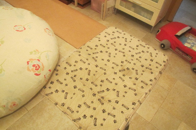 ファイル 3596-5.jpg