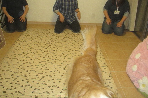 ファイル 3597-1.jpg