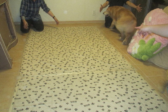 ファイル 3597-2.jpg