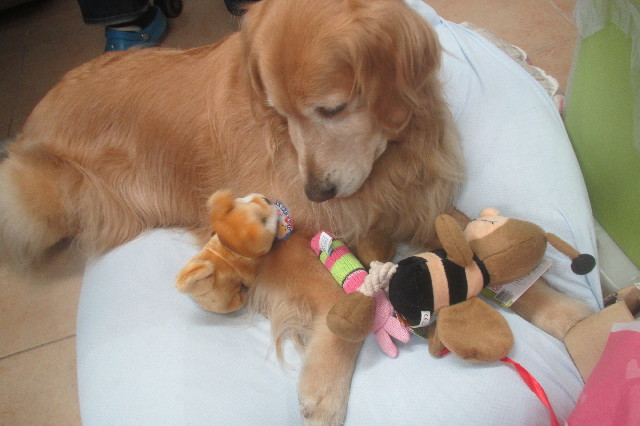 ファイル 3599-1.jpg