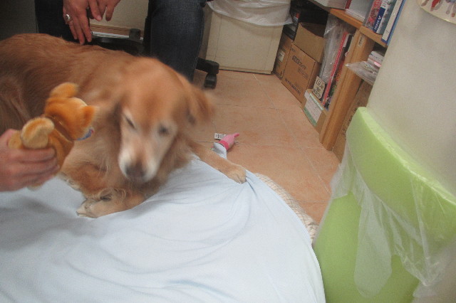 ファイル 3599-3.jpg