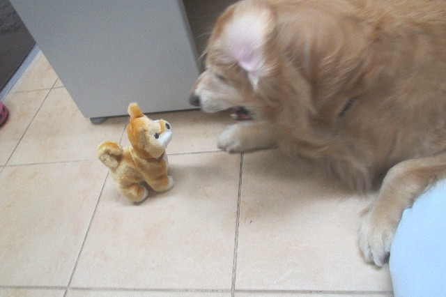 ファイル 3599-4.jpg