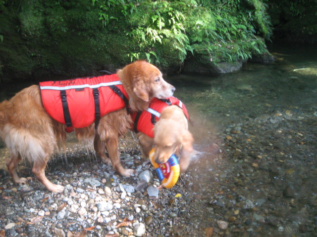 ファイル 360-2.jpg