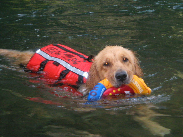 ファイル 360-4.jpg