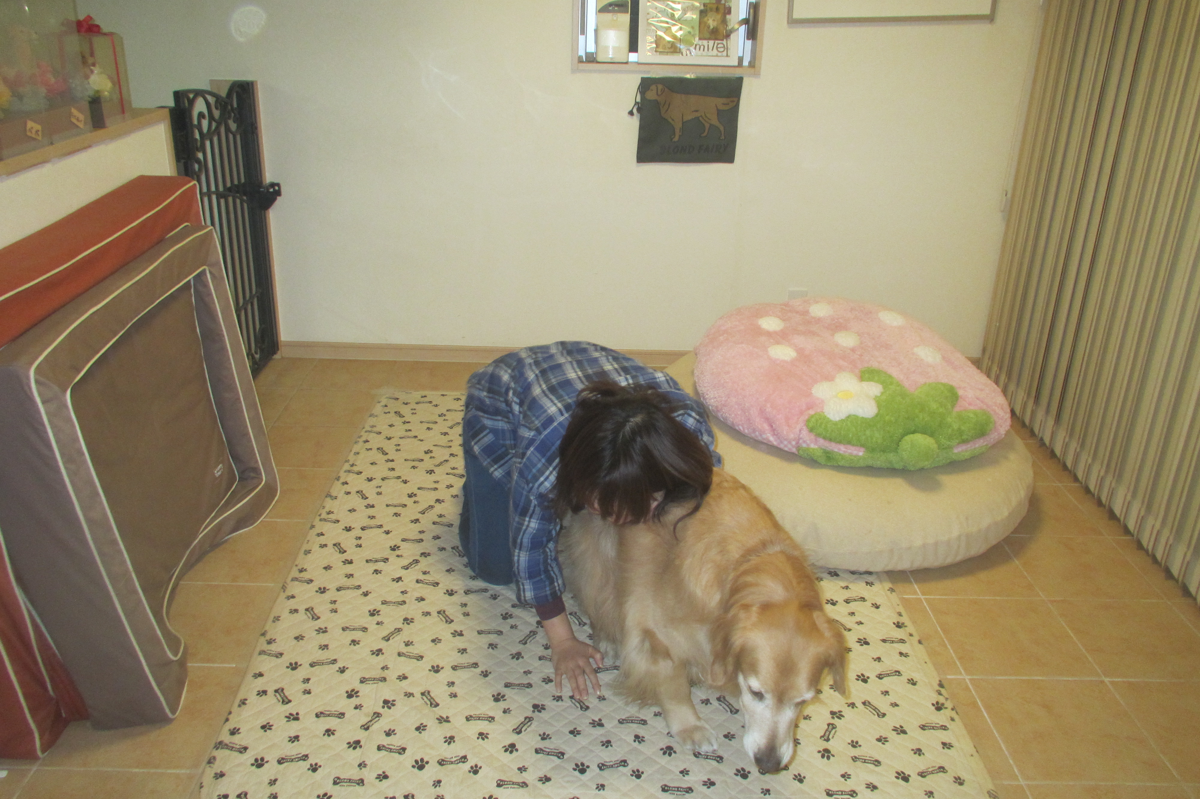 ファイル 3600-3.jpg