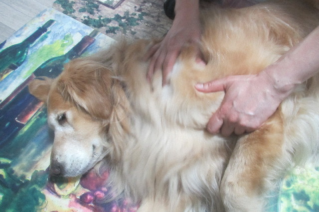 ファイル 3601-1.jpg