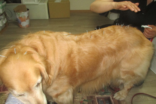 ファイル 3601-2.jpg