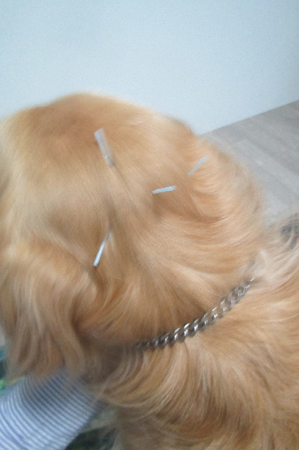 ファイル 3601-3.jpg