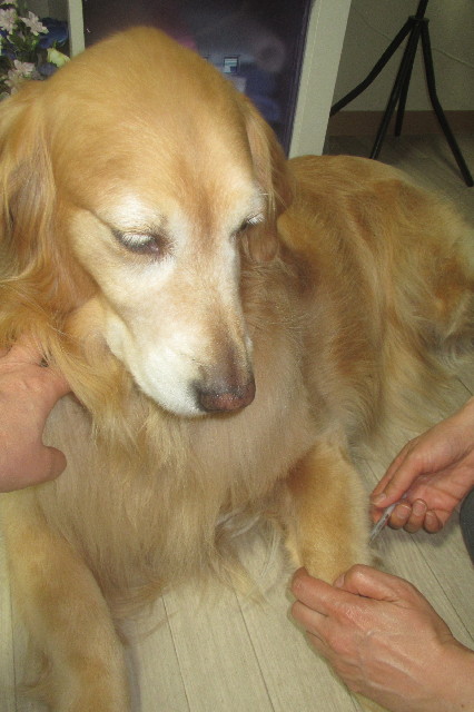 ファイル 3601-4.jpg