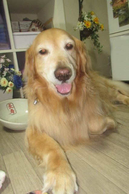 ファイル 3601-5.jpg