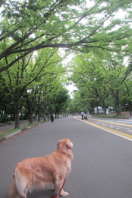 ファイル 3603-3.jpg