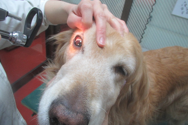 ファイル 3604-3.jpg