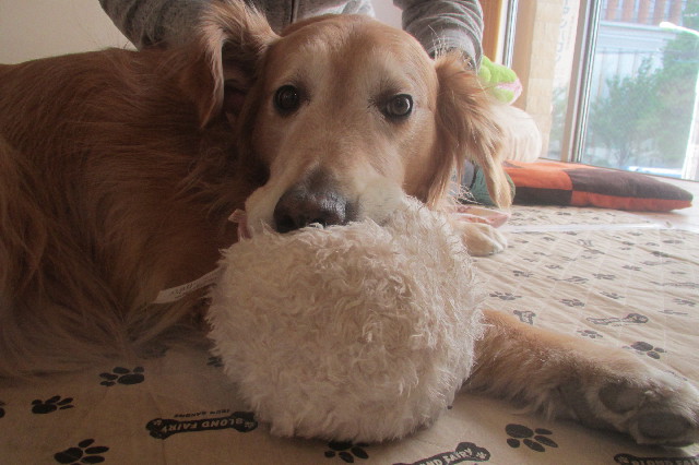 ファイル 3604-5.jpg