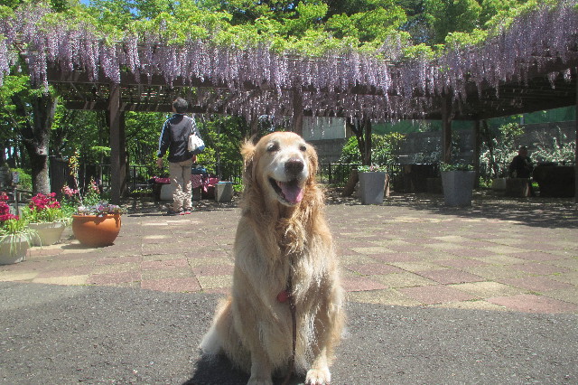 ファイル 3605-1.jpg