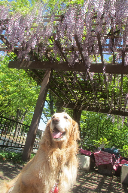 ファイル 3605-2.jpg