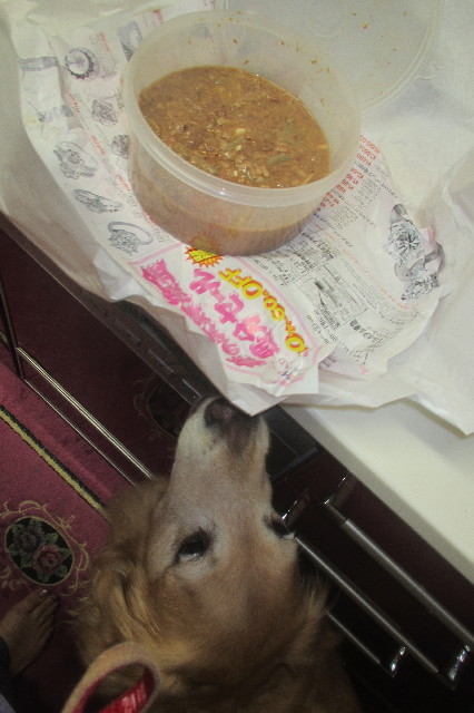 ファイル 3605-3.jpg