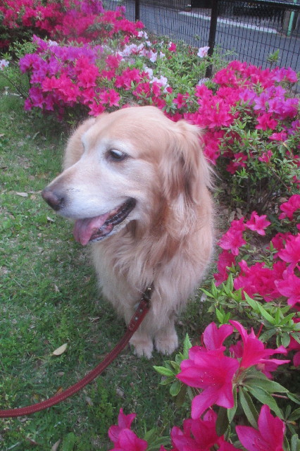 ファイル 3605-4.jpg