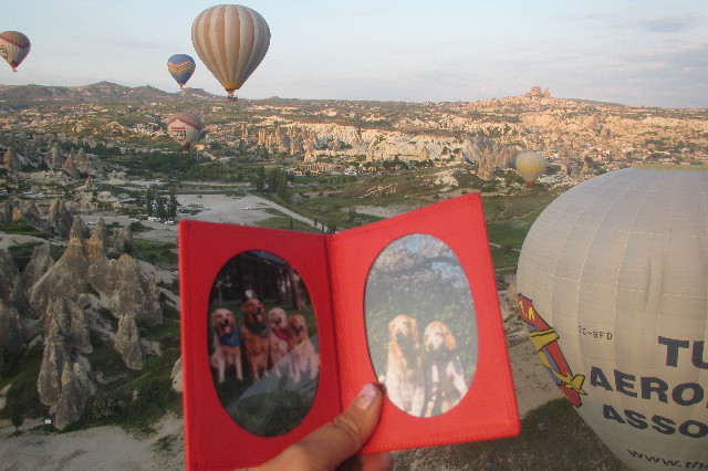 ファイル 3609-4.jpg