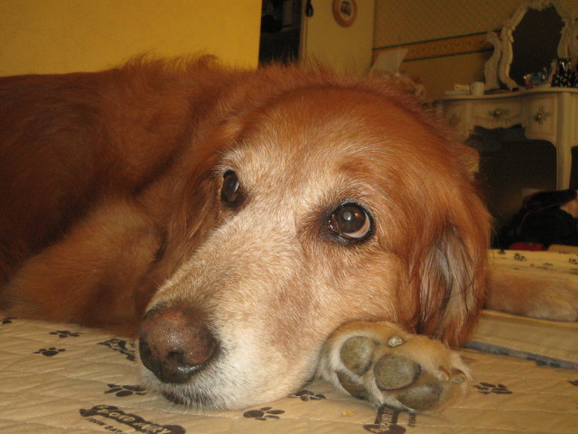 ファイル 361-1.jpg