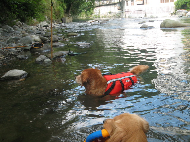 ファイル 361-3.jpg