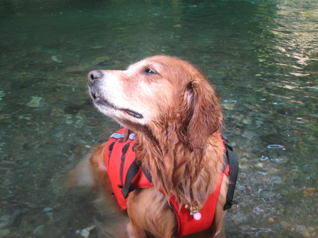 ファイル 361-4.jpg