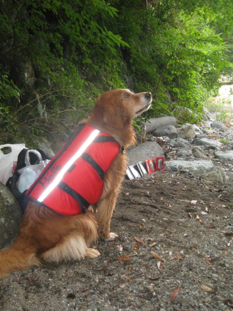 ファイル 361-5.jpg