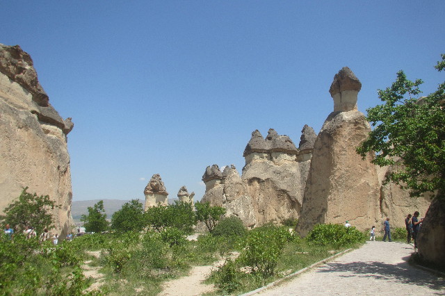 ファイル 3611-1.jpg