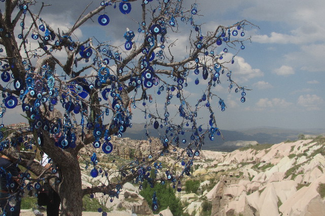 ファイル 3613-5.jpg