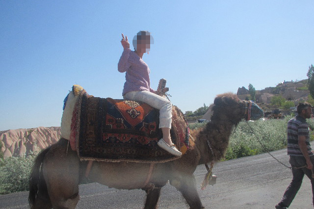 ファイル 3617-2.jpg