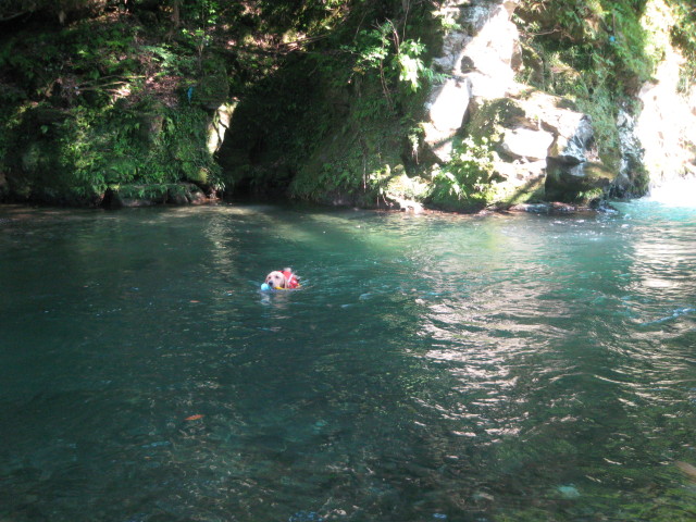 ファイル 362-1.jpg