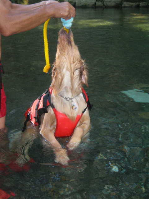 ファイル 362-3.jpg