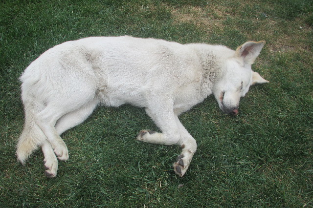 ファイル 3621-3.jpg