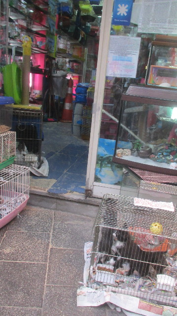 ファイル 3628-3.jpg