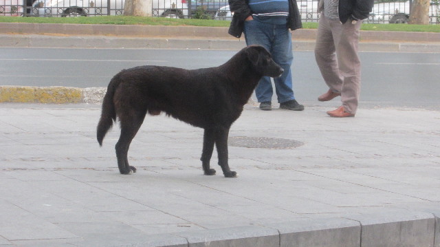 ファイル 3629-4.jpg