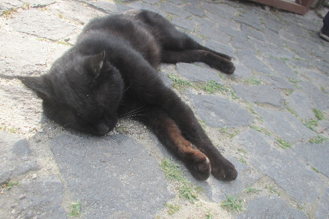 ファイル 3629-5.jpg