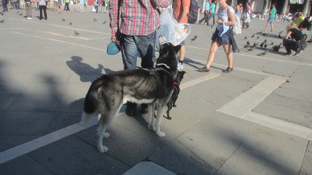 ファイル 3640-4.jpg