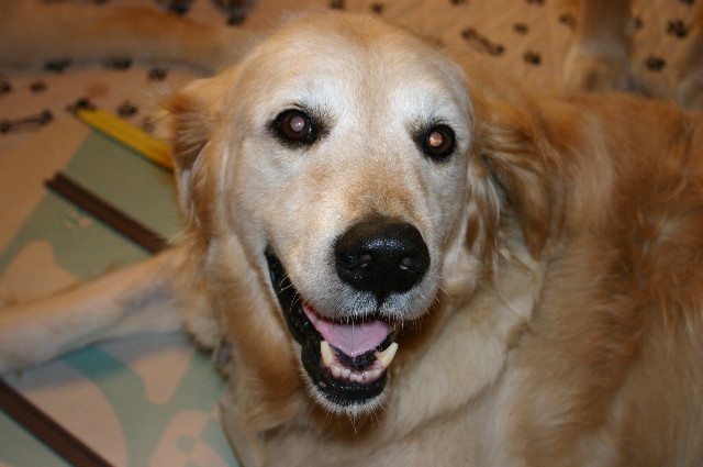 ファイル 3657-1.jpg